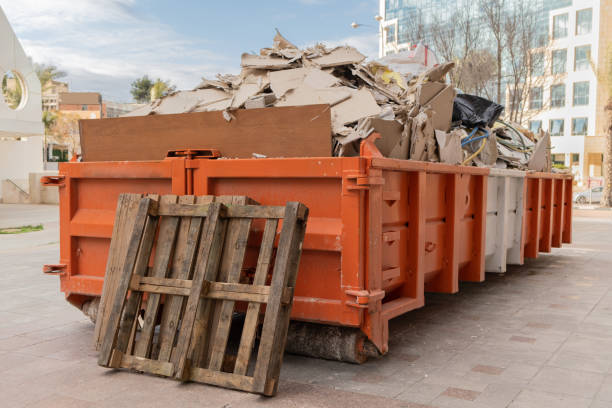Best Demolition Debris Removal  in Richmond, MI