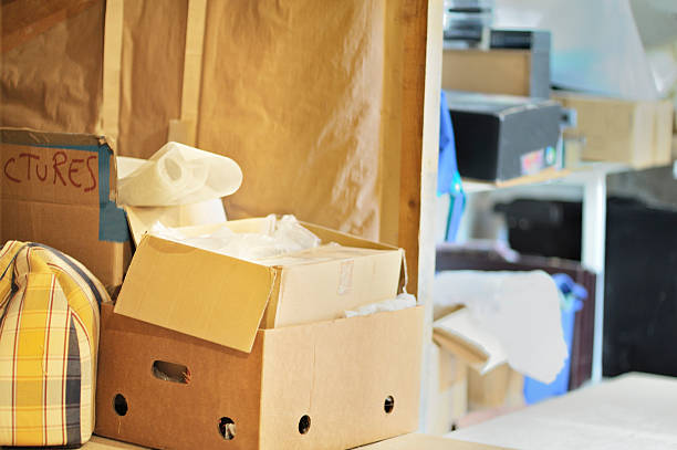 Best Hoarding Cleanup  in Richmond, MI